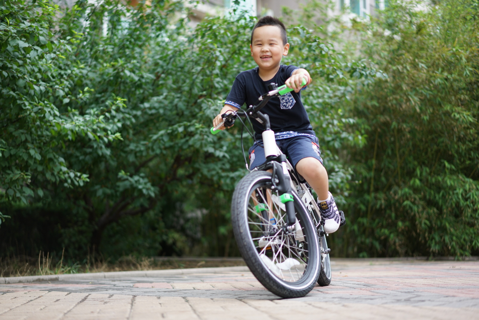 069b1a894881eb44e3ba2add46005faf