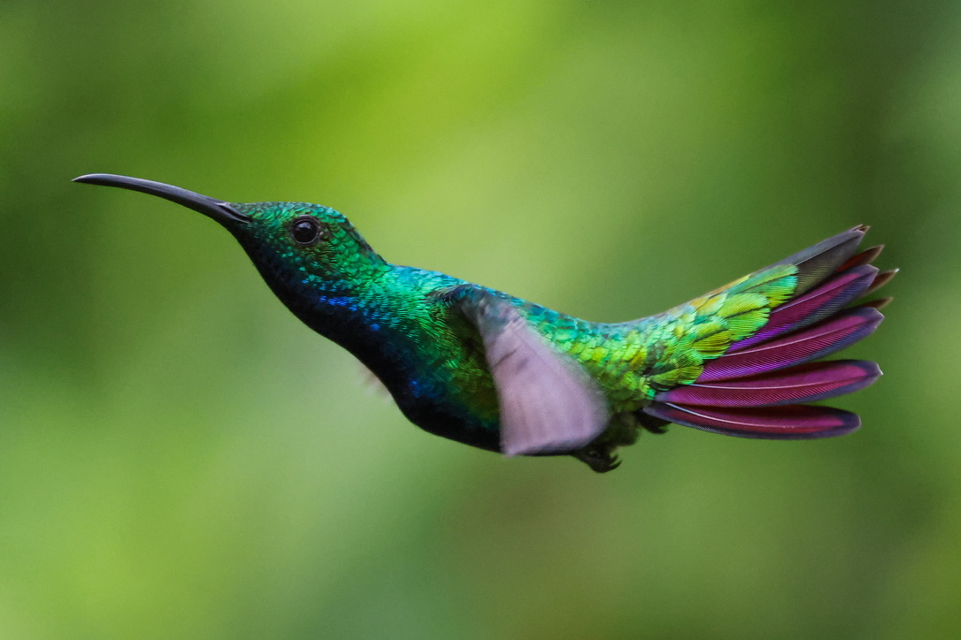 15C467CA-DBF4-4909-BD71-9D2E7D94C7C1_1_105_c