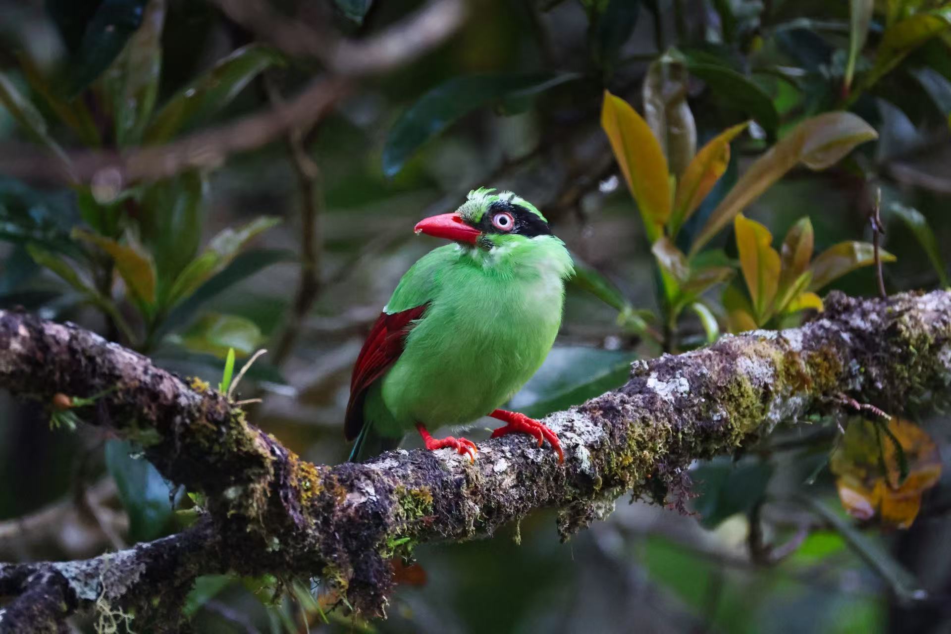 d95565cd9e5a98b3205fe5323d0b68f6