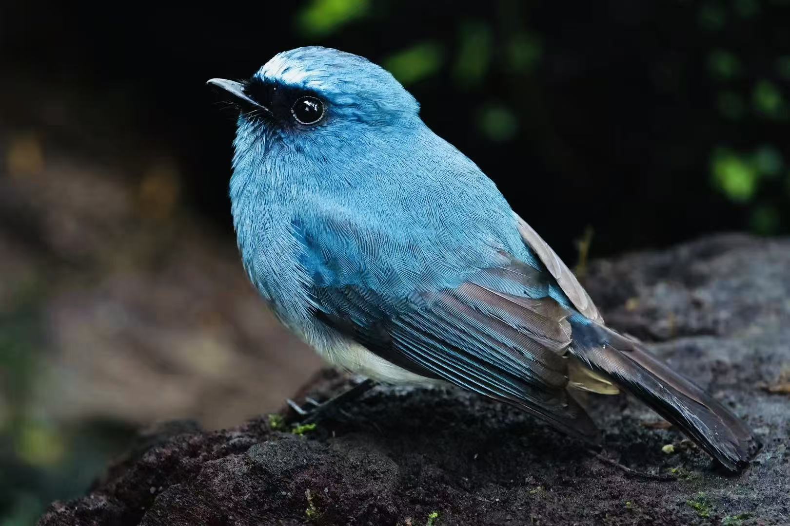 f7252bbd7482c431291078344dabfd58